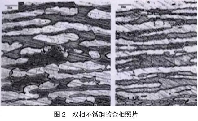 草莓TV网页版草莓视频官网